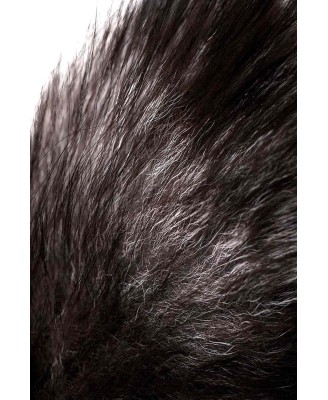 Silver anal plug with a fox tail