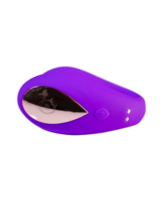 Double Fun - App Controlled massager