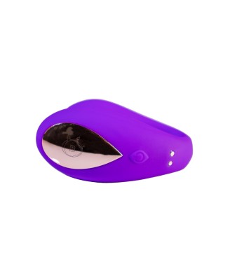 Double Fun - App Controlled massager
