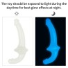 10.5'' Lumino Play Double Dildo
