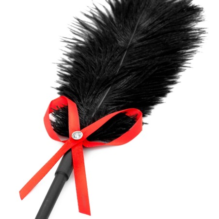 Fetish B-Series Tickler & Whip 2.0