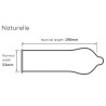 Pasante Naturelle Condoms Bulk Packs 144 pcs