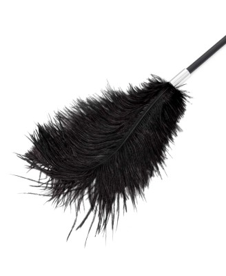 Fetish B-Series Tickler & Whip 1.0