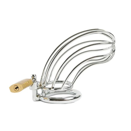 Fantasy - Stalowa klatka na penisa z zestawem pierścieni – 12 cm