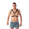 Chest harness