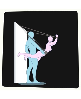 CRUSHIOUS DELUXE SEX DOOR SWING