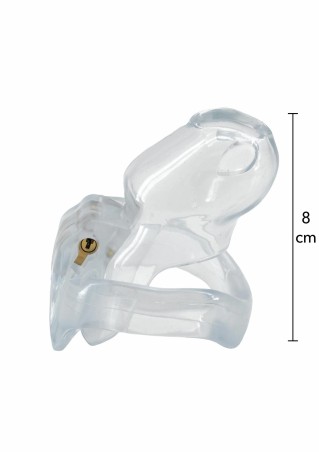Clear Control Cock Cage Regular - Transparentny Pas Cnoty