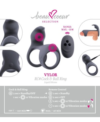 beau coeur Vylor RC