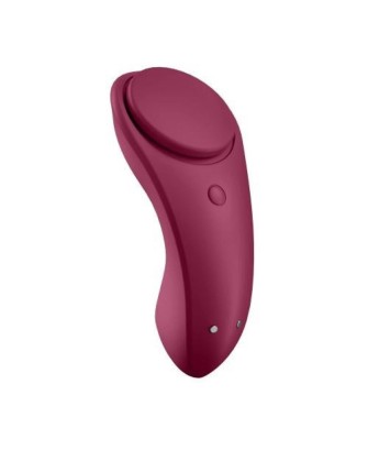 Sexy Secret Panty Vibrator