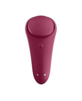 Sexy Secret Panty Vibrator
