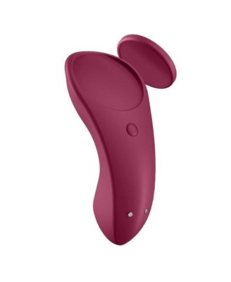Sexy Secret Panty Vibrator