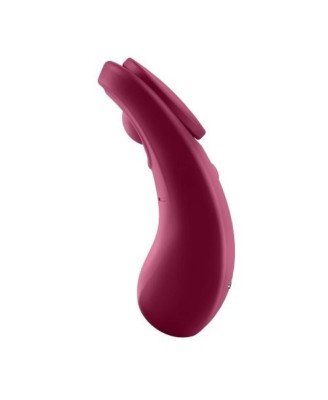 Sexy Secret Panty Vibrator