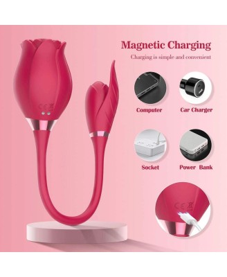 Miss Coyness USB 10 function