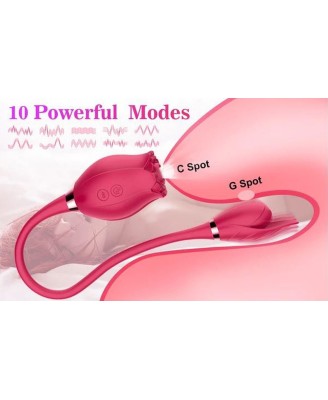 Miss Coyness USB 10 function