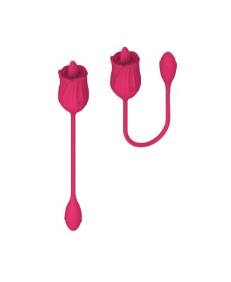 Stymulator - Licking massager with vibrating Egg USB 10 Functions