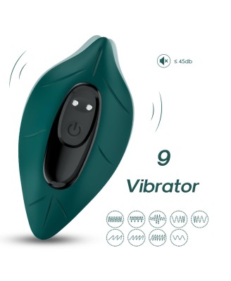 Leavess Green, 9 vibration functions