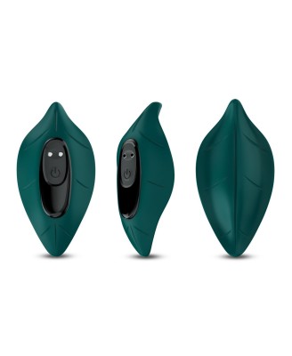 Leavess Green, 9 vibration functions