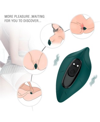 Leavess Green, 9 vibration functions