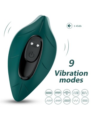 Leavess Green, 9 vibration functions