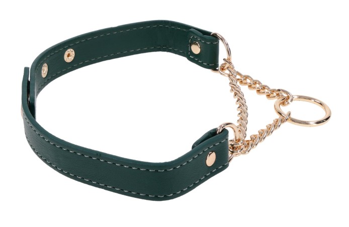 Day Collar - Ozdobna Obroża z Łańcuszkiem