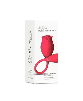 Miss Coyness USB 10 function
