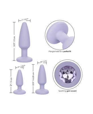 Crystal Booty Kit Purple