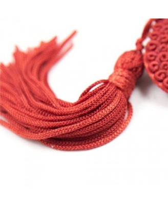 Bielizna-Heart Nipples Tassels RED