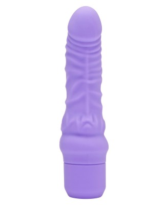 Mini Classic G-Spot Vibrator Purple