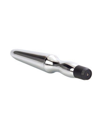 Waterproof Anal Probe Silver