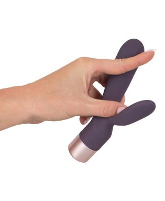 Elegant Vibrator Double Vibe