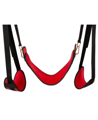 Bad Kitty Door Swing