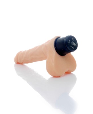Wibrator-CYCLONE-12function vibrator