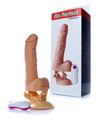 Wibrator-Mr. Perfect Vibration 12 functions