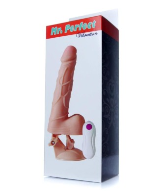 Wibrator-Mr. Perfect Vibration 12 functions