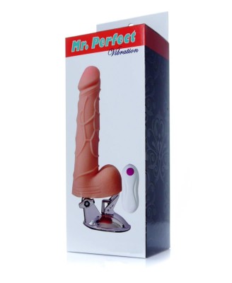 Wibrator-Mr. Perfect Vibration 12 functions