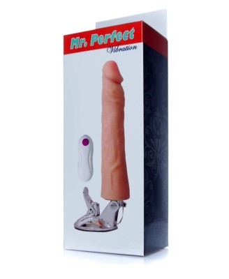 Wibrator-Mr. Perfect Vibration 12 functions