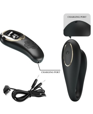 PRETTY LOVE - Nathan, Wireless remote control 9 speed levels 10 vibration functions, ABS Silicone , USB rechargeable