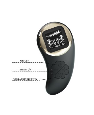 PRETTY LOVE - Nathan, Wireless remote control 9 speed levels 10 vibration functions, ABS Silicone , USB rechargeable