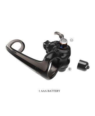 BULL WARRIOR, 10 vibration functions