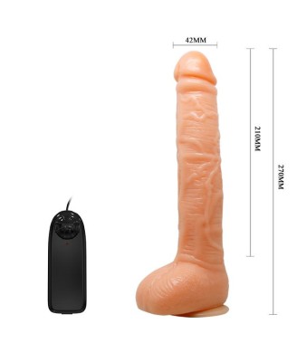 BAILE - Penis Vibration