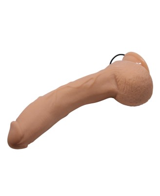 BAILE-Beautiful Jack 10.6""""