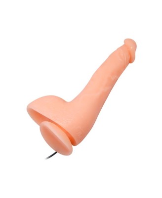 BAILE- JASSON 9.8''Multi Speed of Vibration