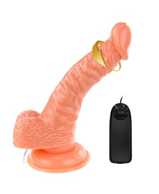 BAILE - SUPER ROTA DONG, Vibration Suction base