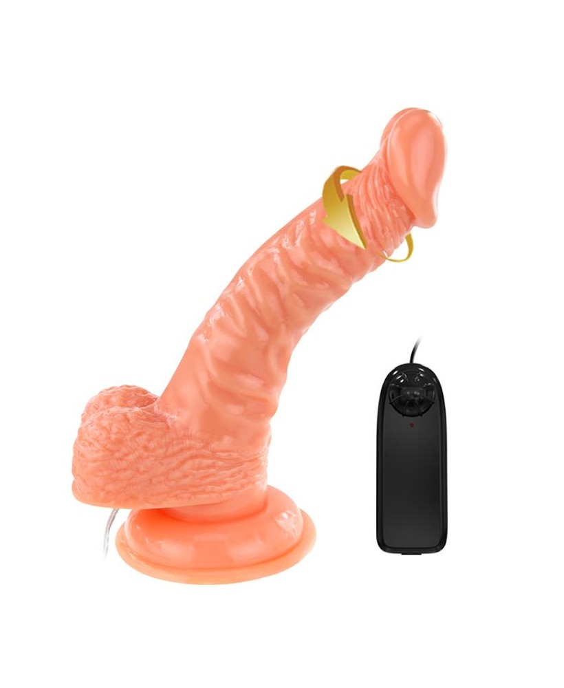 BAILE - SUPER ROTA DONG, Vibration Suction base