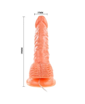 BAILE - SUPER ROTA DONG, Vibration Suction base