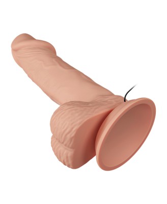 BAILE-Beautiful Zebulon Vibration 7.6""""