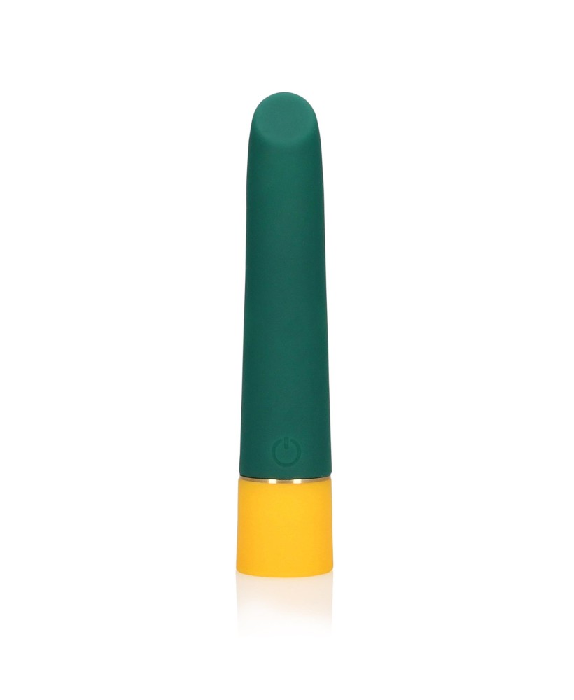 Smooth Mini Vibrator with USB Charger