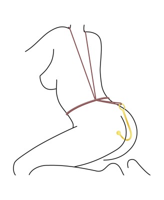 Luxury Anal Hook