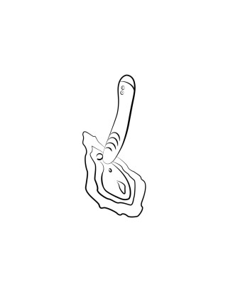 ROMP - Hype G-Spot Vibrator
