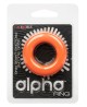 Alpha Prolong Large Ring Orange